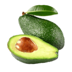 aguacate hass avocado hass