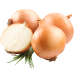 Cebolla onion